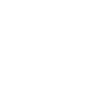Rocket icon